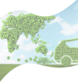 Eco-Friendly Innovation